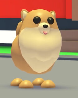 Roblox Adopt Me Trading Values - What is Pomeranian Worth