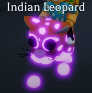 Indian Leopard | Adopt Me! Wiki | Fandom