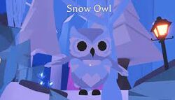 Snow Owl Adopt Me Wiki Fandom - roblox snow background