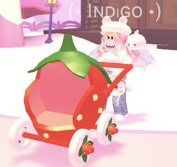Strawberry Stroller Adopt Me Wiki Fandom