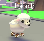 Ultra-Rare Lamb Pet.png (148 KB) The teaser image of the Lamb.