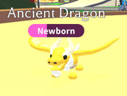 The Ancient Dragon in-game.