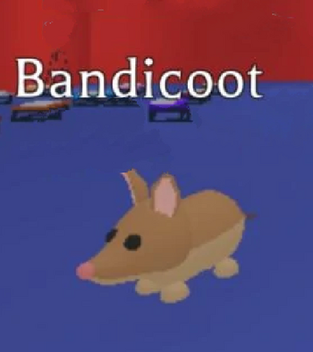 ABandicoot