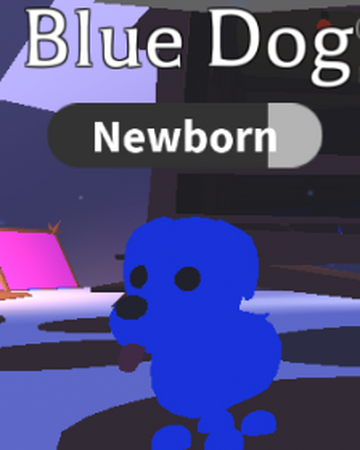 Blue Dog Adopt Me Wiki Fandom - we adopted new aussie pets in adopt me roblox youtube