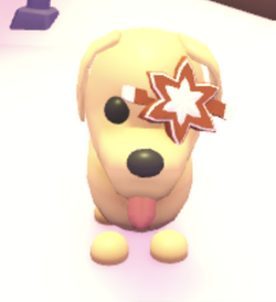 star pet roblox adopt me