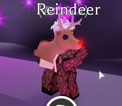 Gingerbread Reindeer, Adopt Me! Wiki