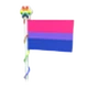 Bi Flag 2023