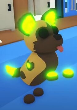 Question- What are the ages for Neon pets?