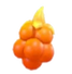 Sparkling Blaze Berry