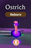 Neon Ostrich (Rare)