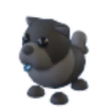 Chow chow in black discount
