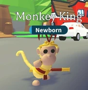 Monkey king crown on Monkey king.jpg (43 KB) The Monkey King in-game.