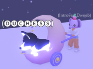 A player using the Magic Moon Stroller.