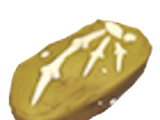 Elasmosaurus Fossil