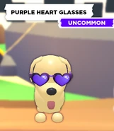 The Purple Heart Glasses on a Dog.