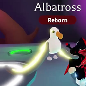 Neon Albatross