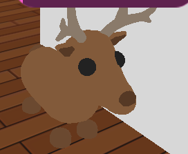 Reindeer Adopt Me Wiki Fandom - new reindeer pet in adopt me roblox adopt me youtube