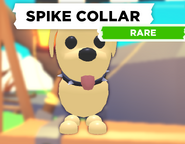The Spike Collar on a Dog.
