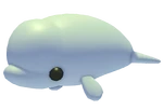 Beluga Whale