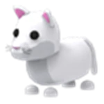 Snow Puma
