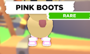 The Pink Boots on a Dog.