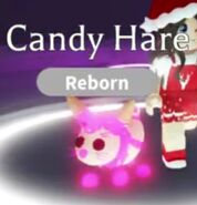 Neon Candy Hare (Legendary)