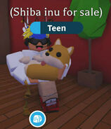 Shiba inu in-game