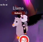Neon llama adopt me.png (63 KB) The Neon Llama.