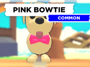 Pink Bowtie