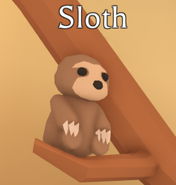 Sloth, Adopt Me! Wiki