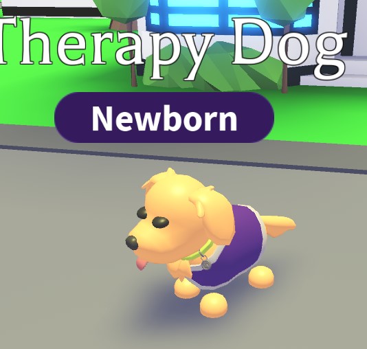 Therapy Dog Adopt Me! Wiki Fandom