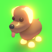 Neon Chocolate Labrador