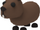 Capibara