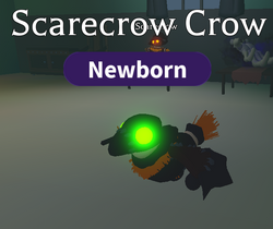 Scarecrow, Adopt Me! Wiki