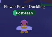 A Flower Power Duckling holding the Daisy Flying Disc.