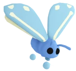 Glacier Moth