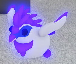 Bali Starling, Trade Roblox Adopt Me Items