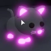 Un Gato neon (Common)