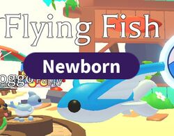 Flying Fish, Trade Roblox Adopt Me Items