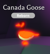 Canadian Goose | Adopt Me! Wiki | Fandom