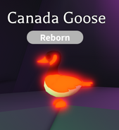 Neon Canadian Goose (Uncommon)