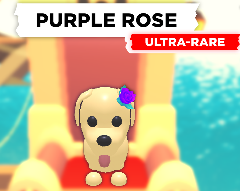 Purple Rose Adopt Me Wiki Fandom - what is the purple dom in roblox