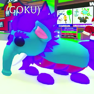 The Mega Neon Baku.
