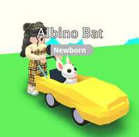 A player holding the Car Stroller