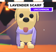 The Lavender Scarf on a Dog.