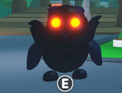 Adopt me Legendary Owl - Roblox