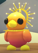 Sunrise Duckling | Adopt Me! Wiki | Fandom