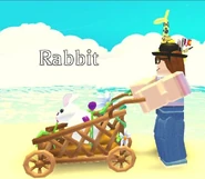 Flower Stroller In-game.png (410 KB) A player using the Flower Stroller.