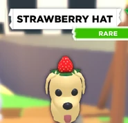 Strawberry Hat.jpg (116 KB) The Strawberry Hat on a Dog.