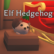 The Elf Hedgehog displayed in the Christmas Shop.